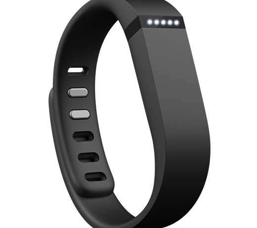 Fitbit Flex Reviews